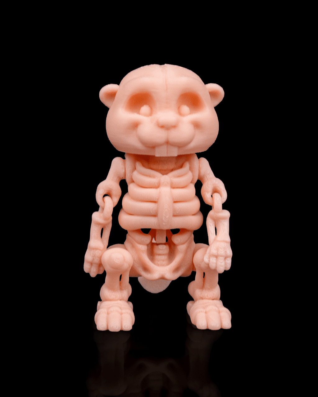 🦫 Bonez Zoo – Skeleton Beaver