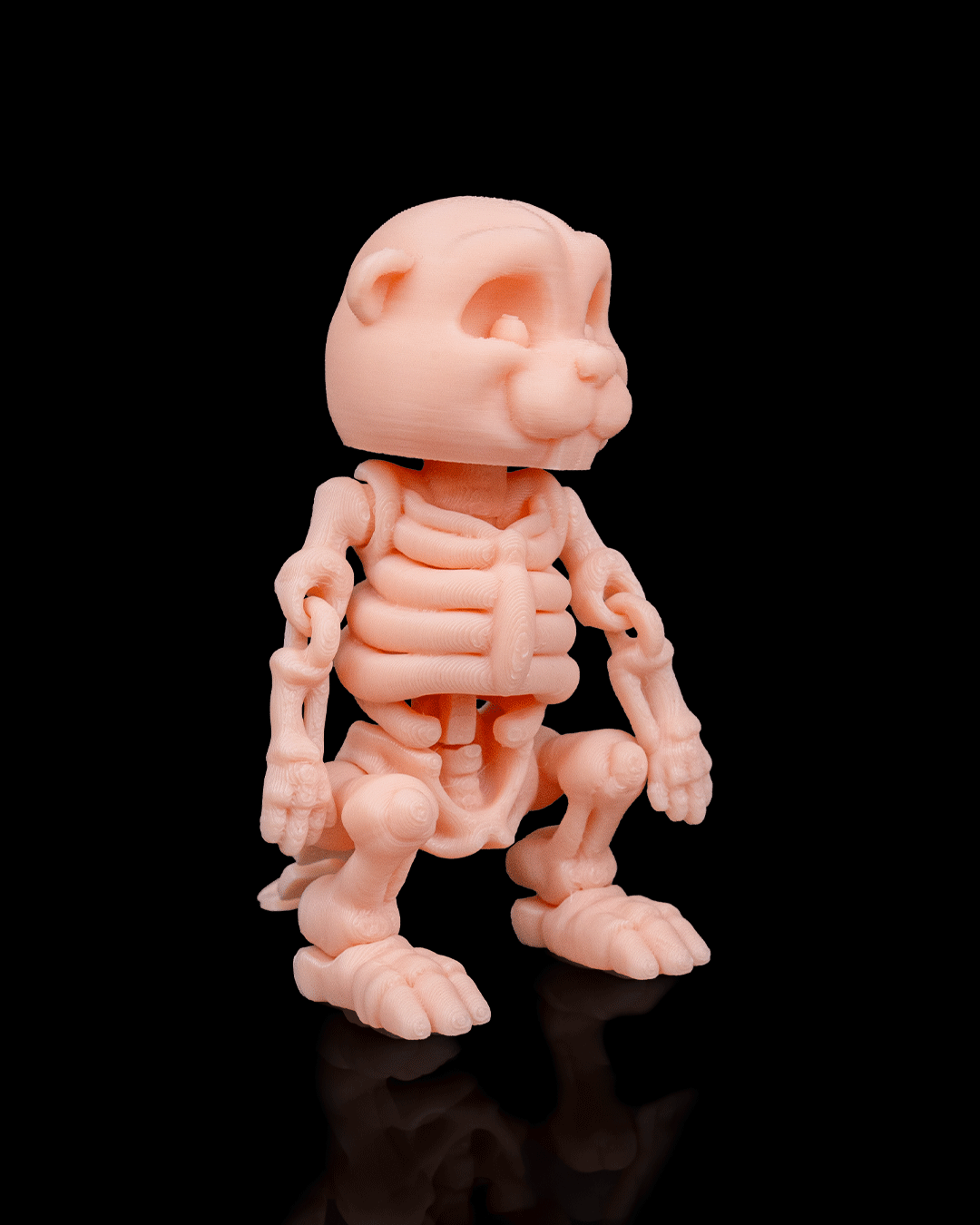 🦫 Bonez Zoo – Skeleton Beaver