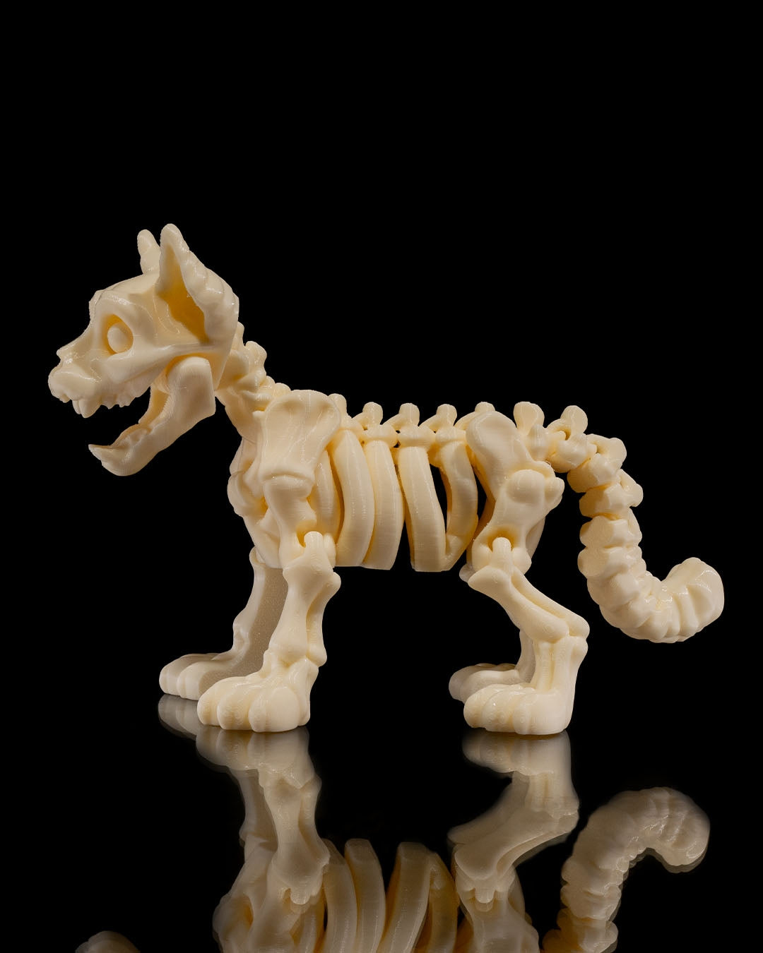 Bonez Zoo Skeleton Kitty