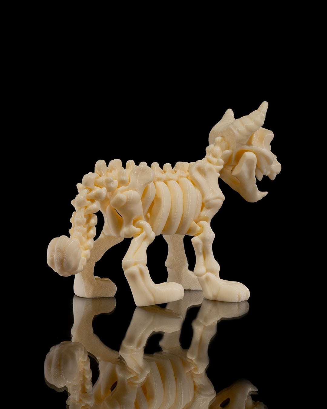 Bonez Zoo Skeleton Kitty
