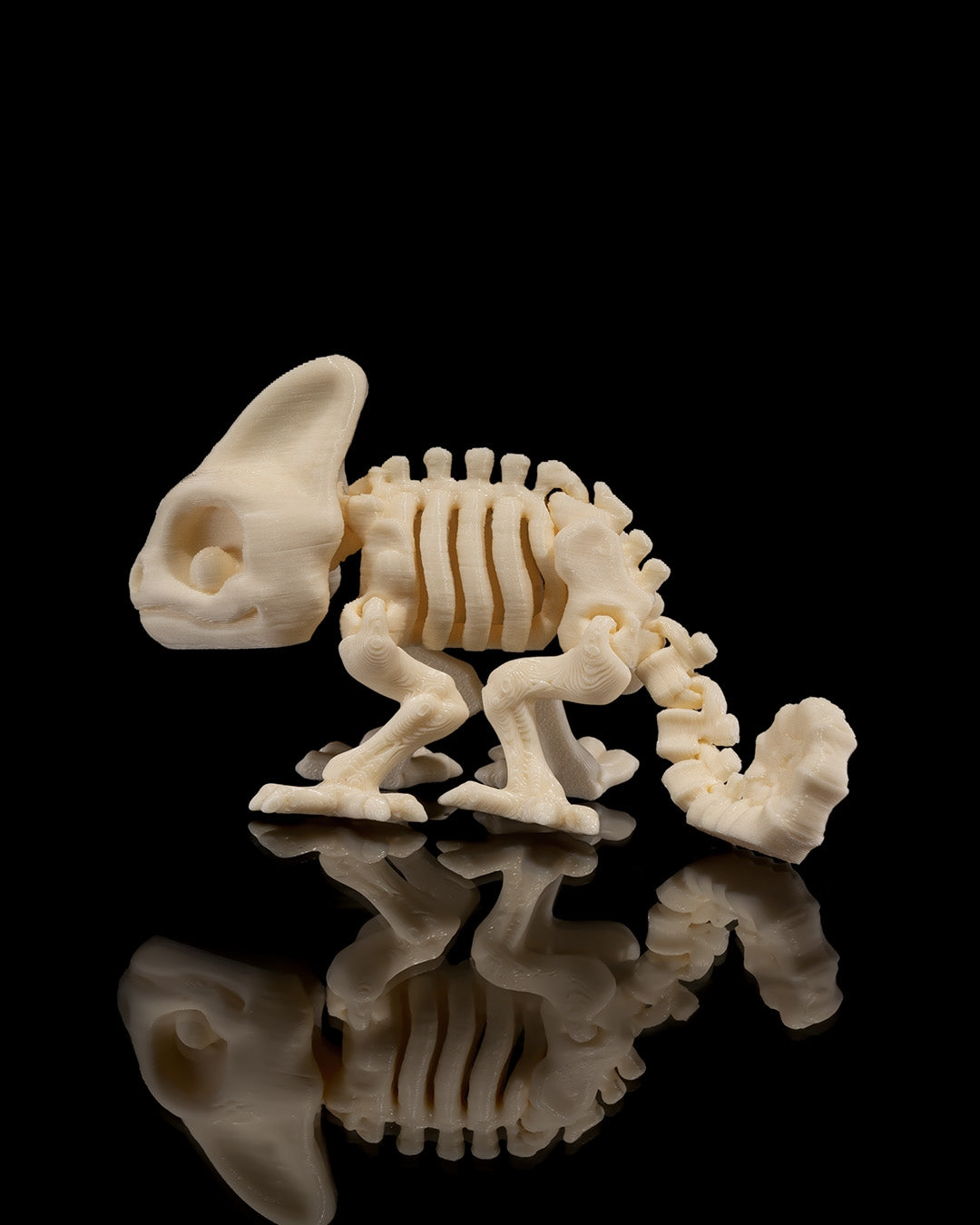 🦎 Bonez Zoo – Skeleton Chameleon