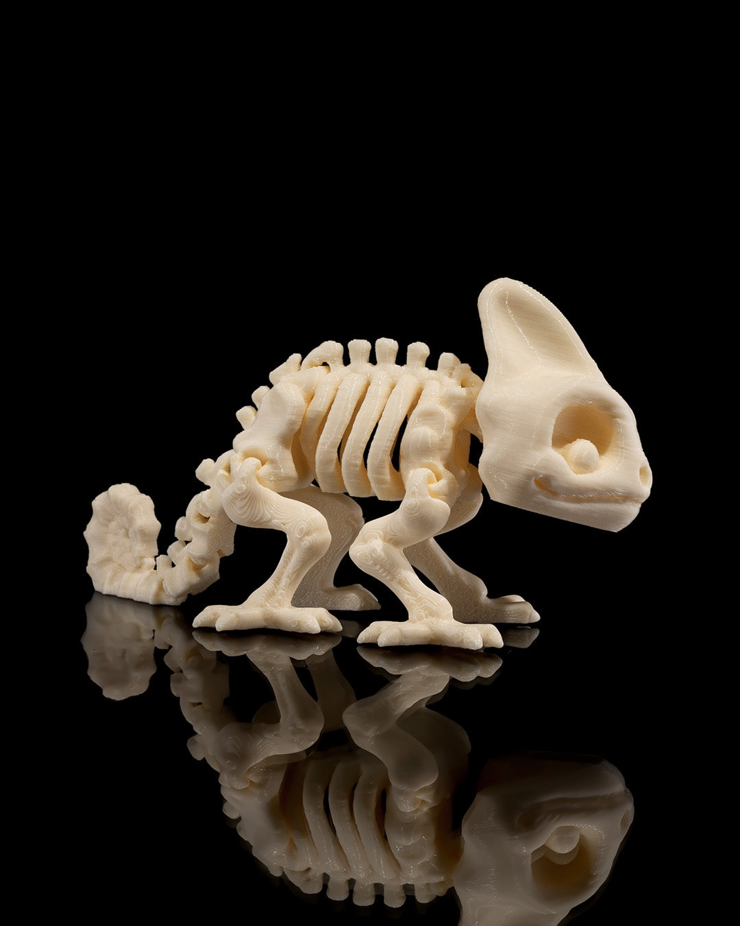 🦎 Bonez Zoo – Skeleton Chameleon