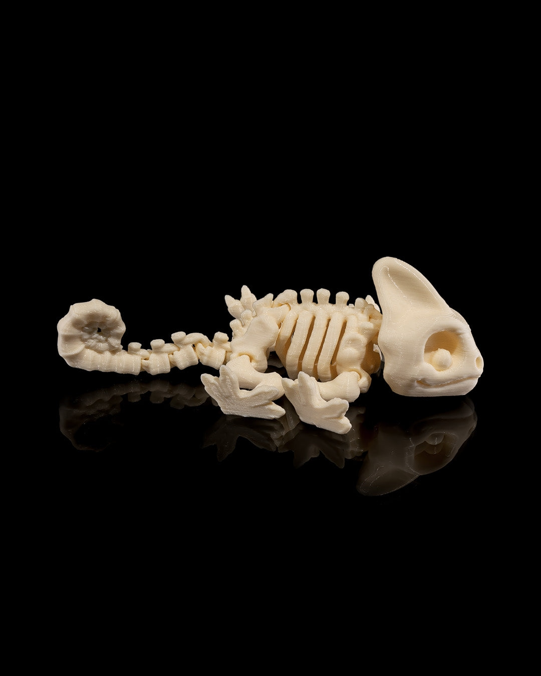 🦎 Bonez Zoo – Skeleton Chameleon