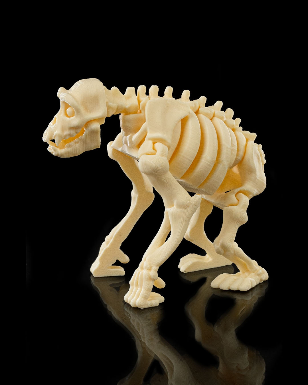 🦍 Bonez Zoo – Skeleton Ape