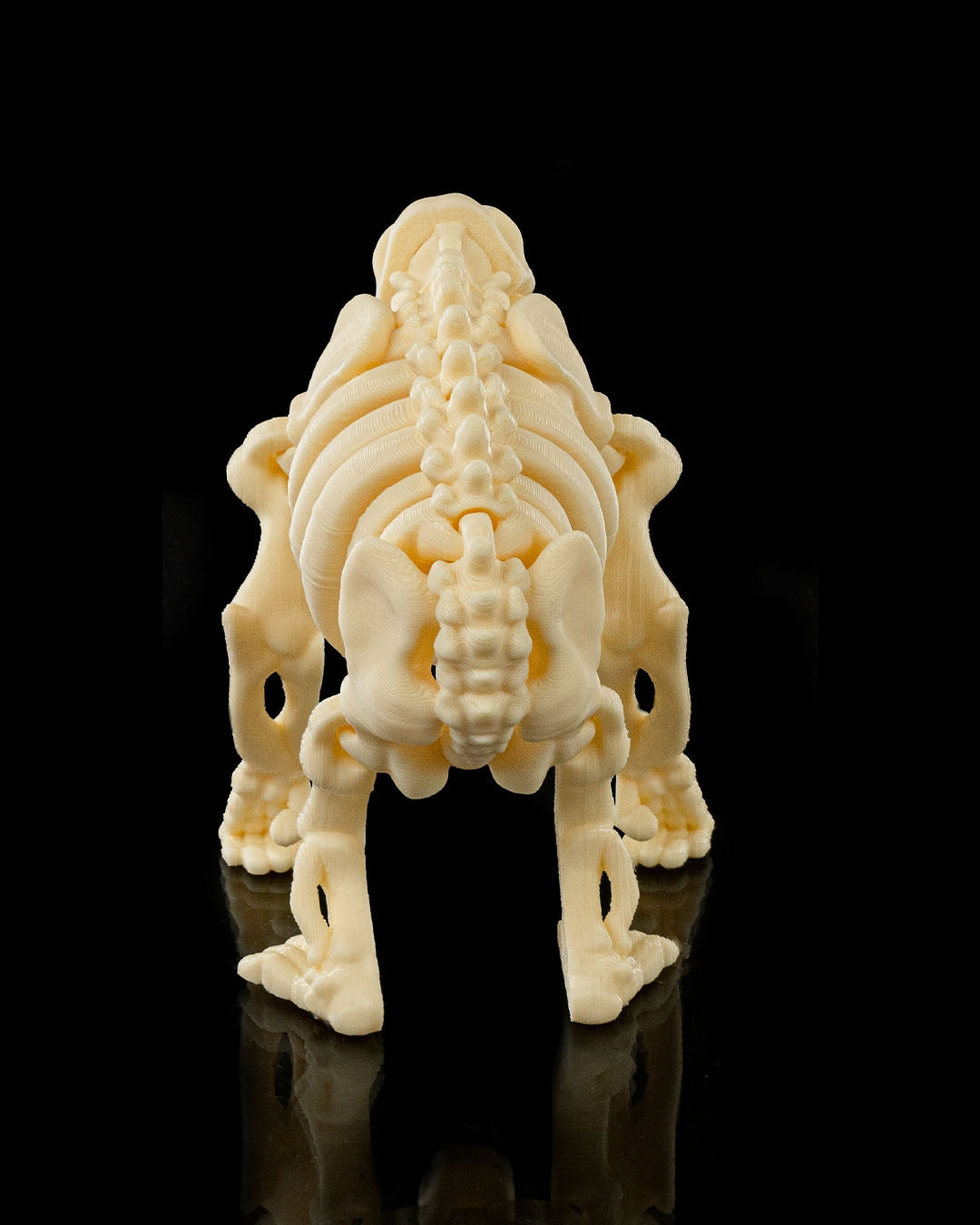 🦍 Bonez Zoo – Skeleton Ape