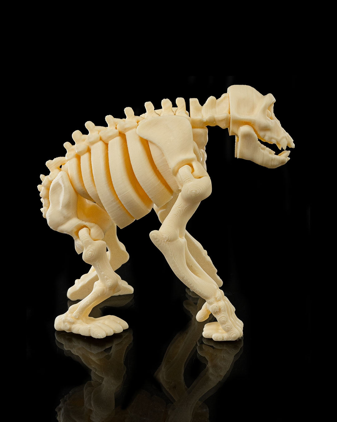🦍 Bonez Zoo – Skeleton Ape
