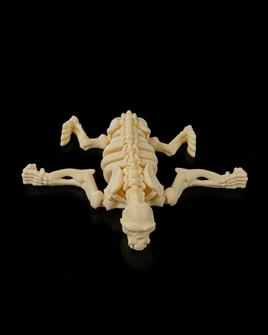 🦍 Bonez Zoo – Skeleton Ape