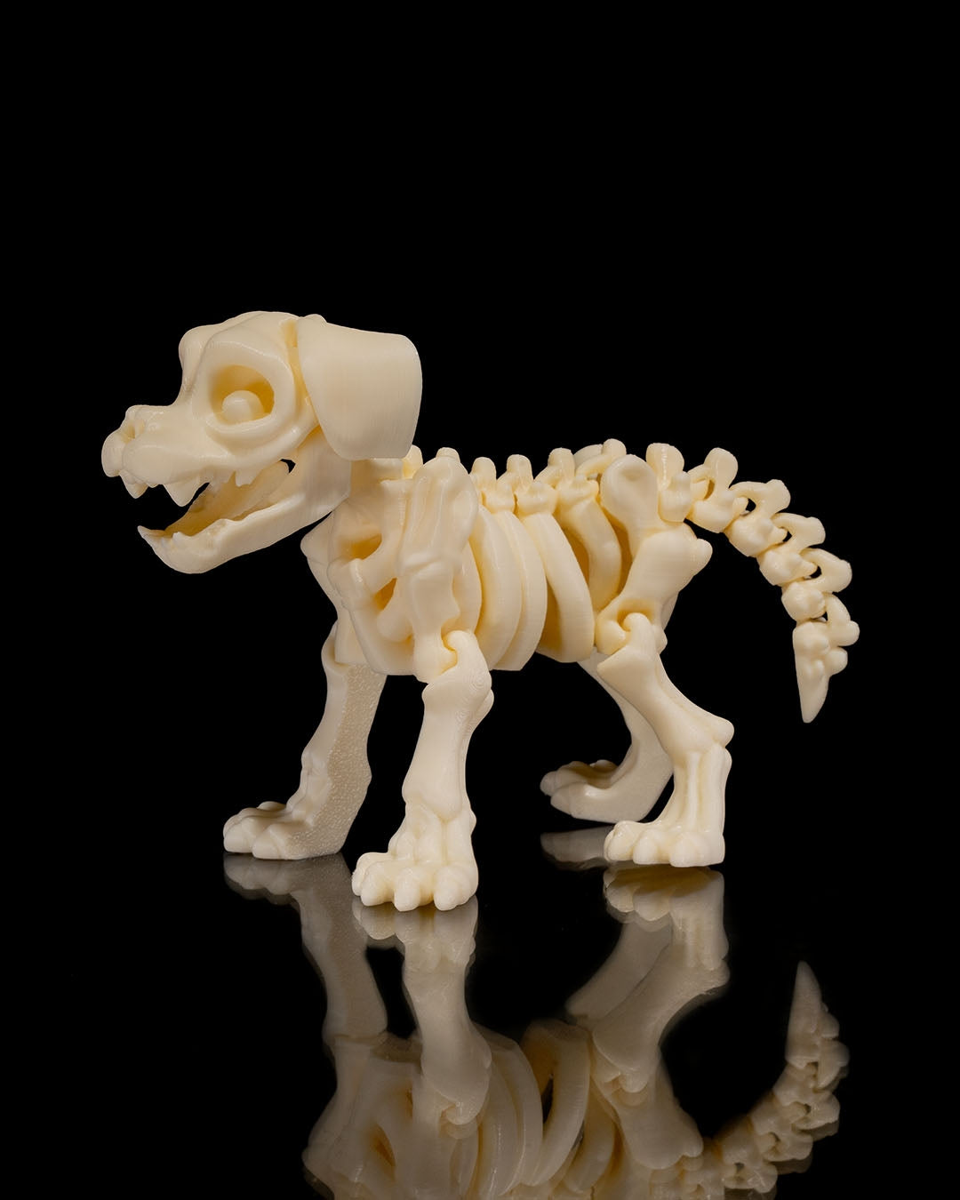🐕🦴 Bonez Zoo – Skeleton Dog