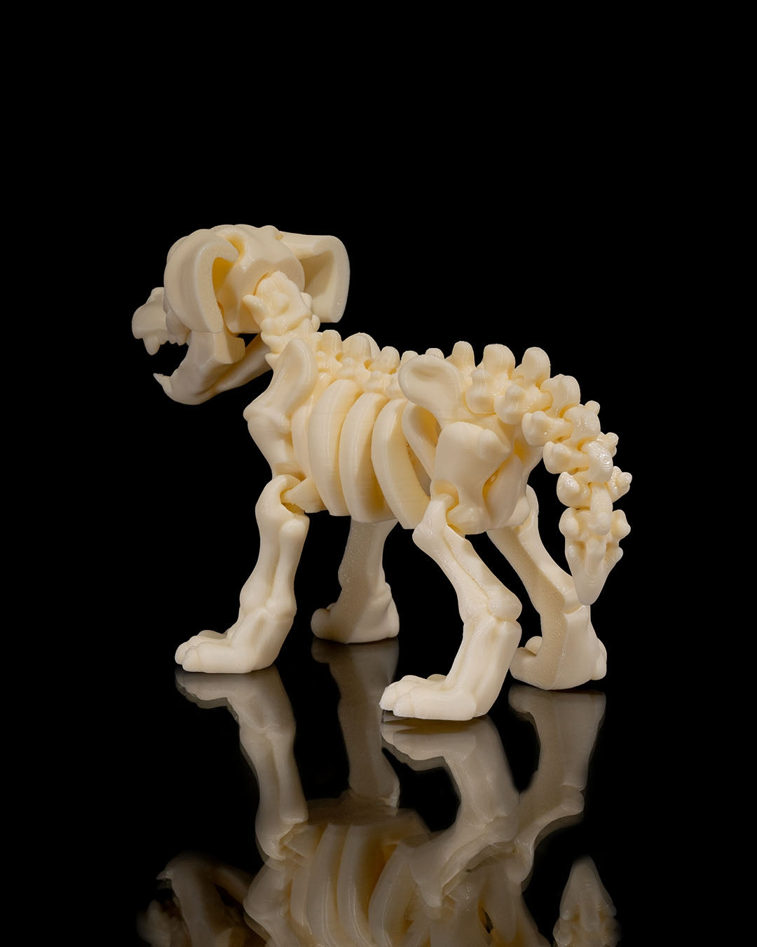 🐕🦴 Bonez Zoo – Skeleton Dog