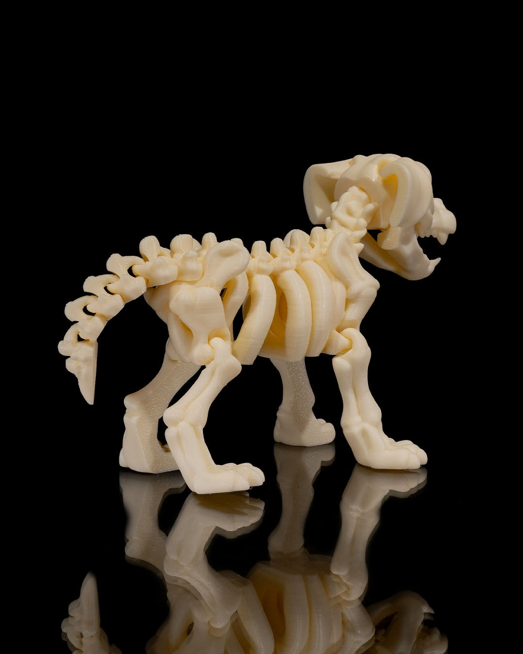 🐕🦴 Bonez Zoo – Skeleton Dog