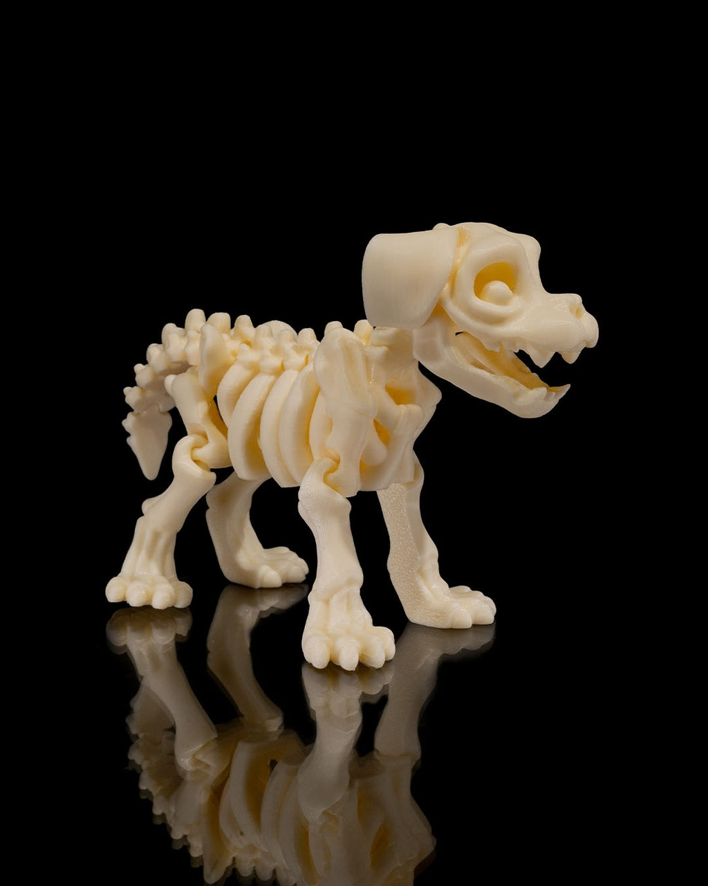 🐕🦴 Bonez Zoo – Skeleton Dog