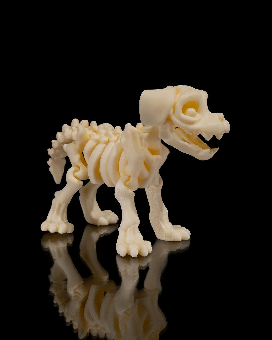 🐕🦴 Bonez Zoo – Skeleton Dog