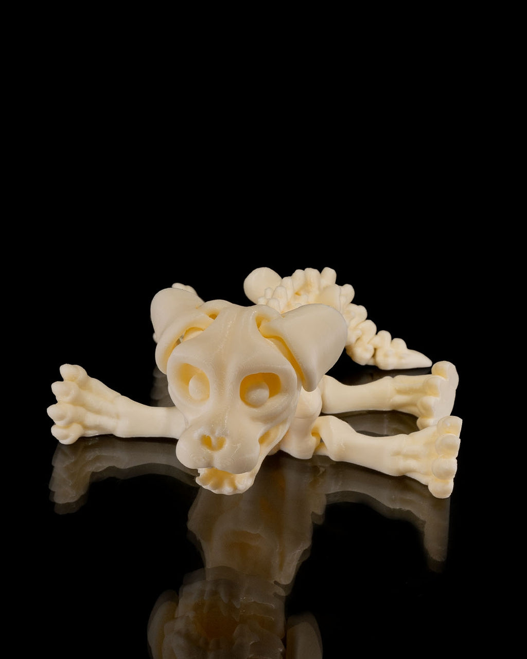🐕🦴 Bonez Zoo – Skeleton Dog
