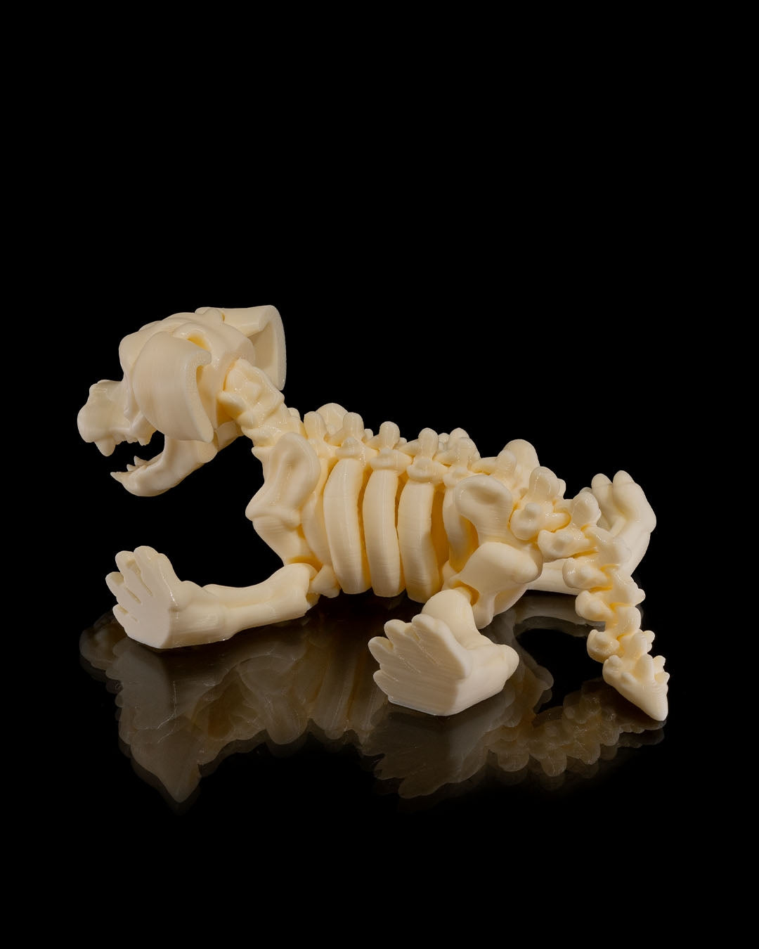 🐕🦴 Bonez Zoo – Skeleton Dog