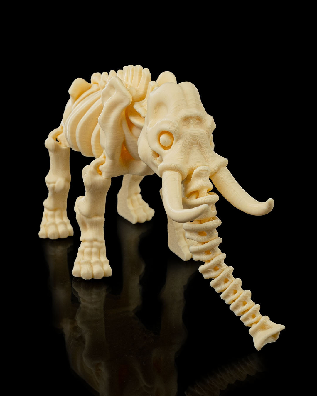 🐘 Bonez Zoo – Skeleton Elephant
