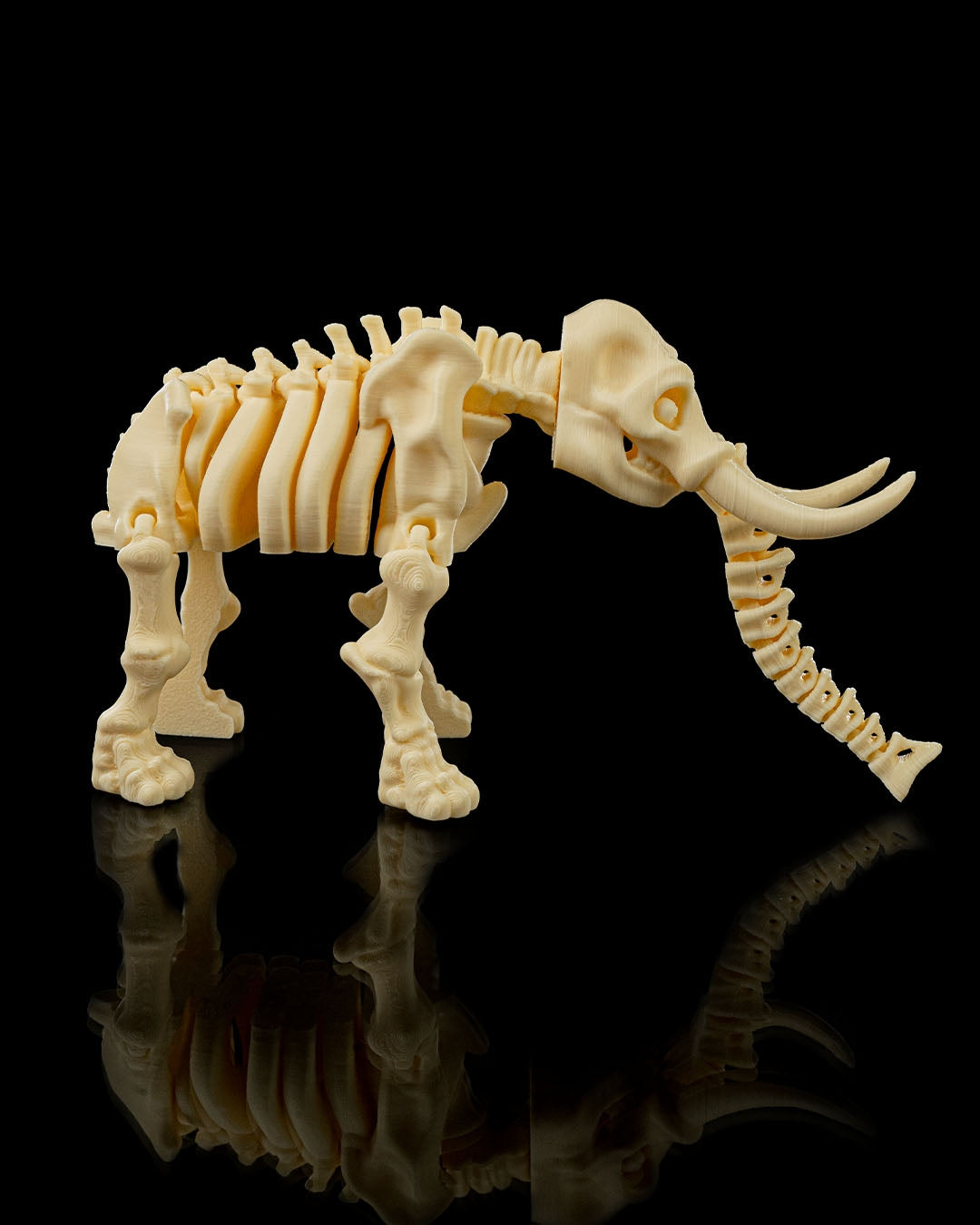 🐘 Bonez Zoo – Skeleton Elephant