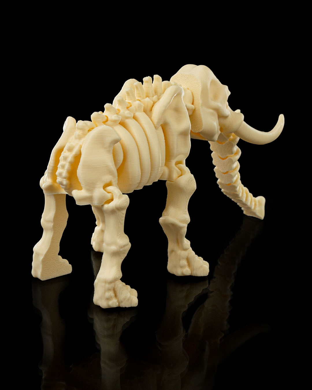 🐘 Bonez Zoo – Skeleton Elephant