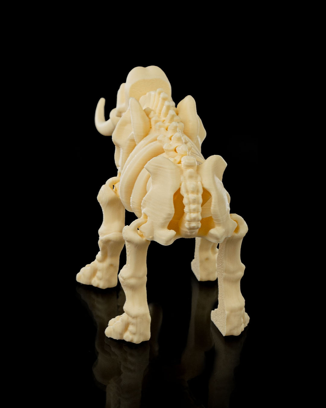 🐘 Bonez Zoo – Skeleton Elephant