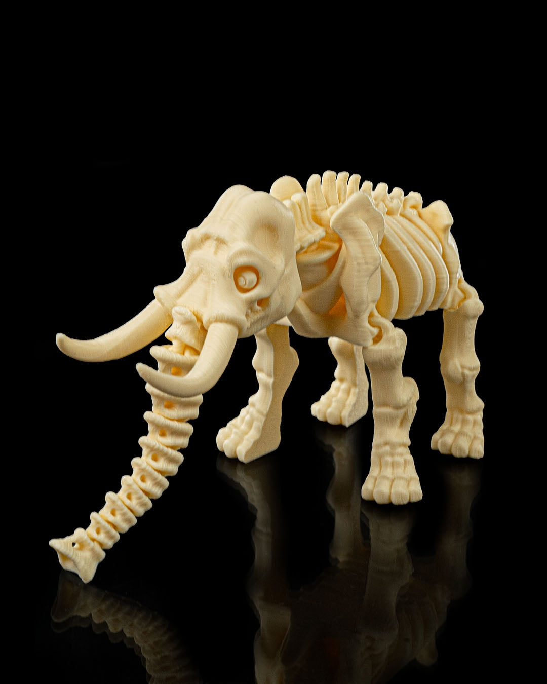 🐘 Bonez Zoo – Skeleton Elephant