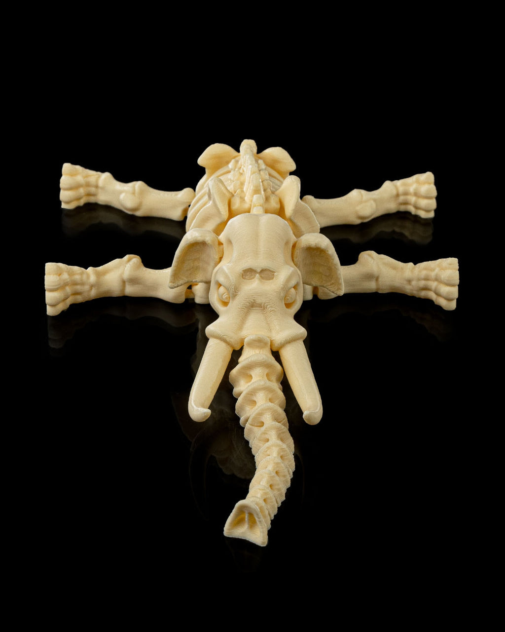 🐘 Bonez Zoo – Skeleton Elephant