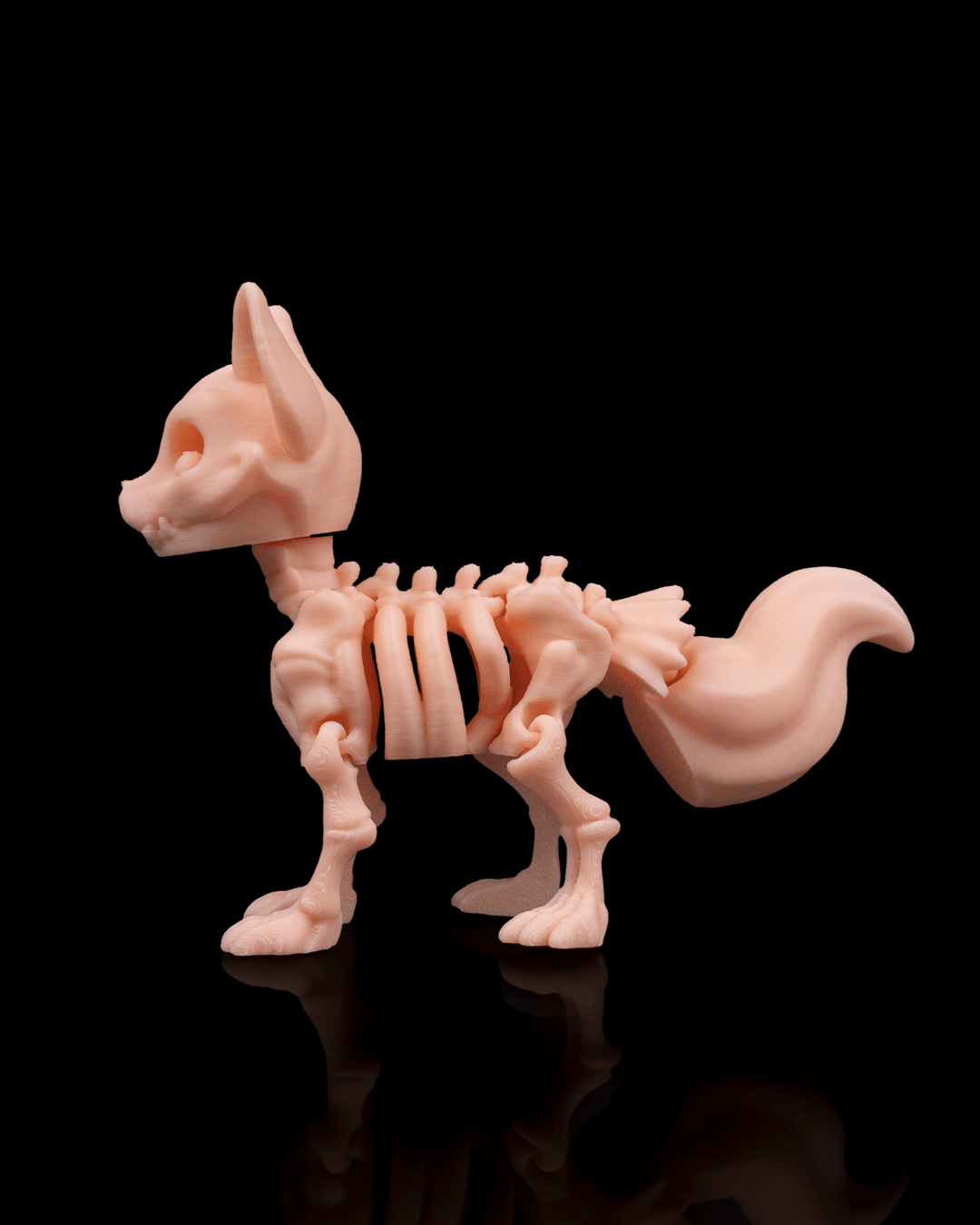 🦊 Bonez Zoo – Skeleton Fox