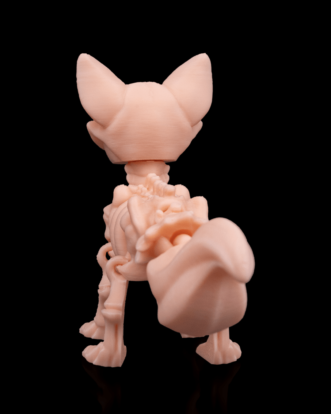 🦊 Bonez Zoo – Skeleton Fox