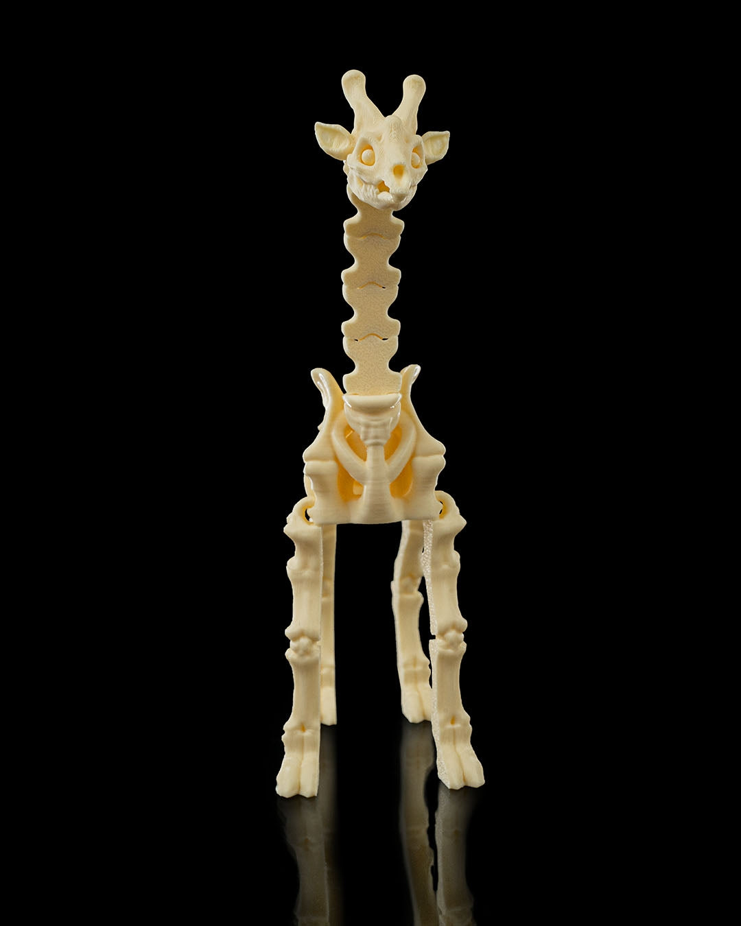 🦒 Bonez Zoo – Skeleton Giraffe