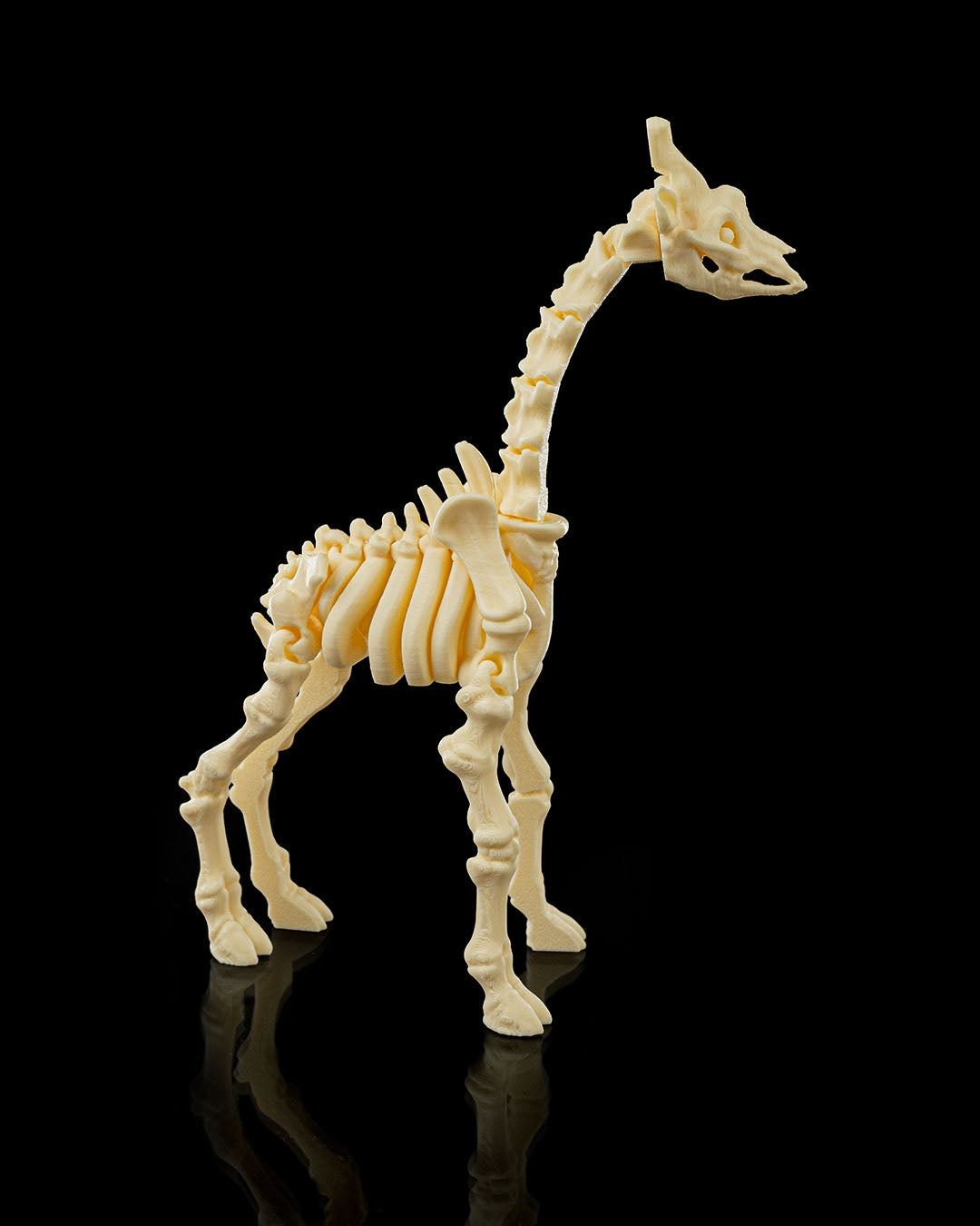 🦒 Bonez Zoo – Skeleton Giraffe