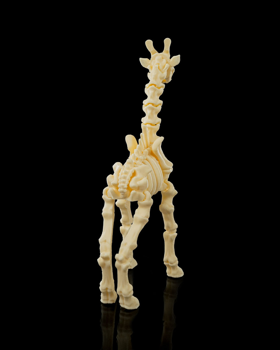 🦒 Bonez Zoo – Skeleton Giraffe