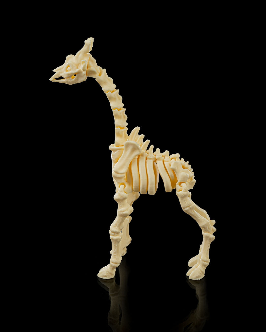 🦒 Bonez Zoo – Skeleton Giraffe