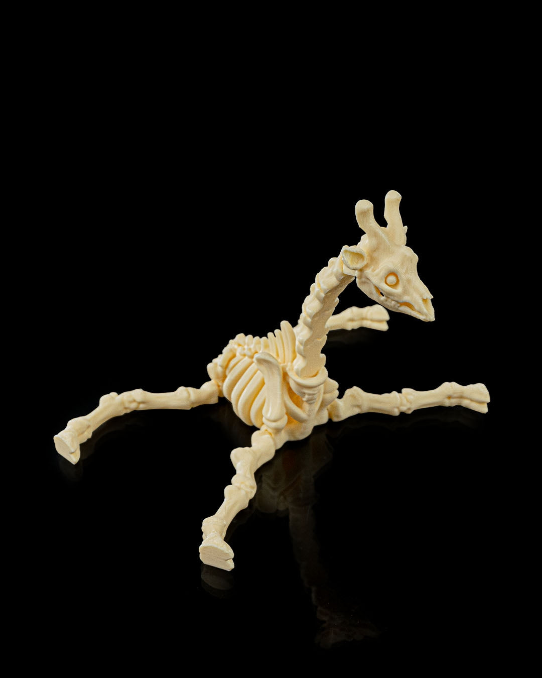🦒 Bonez Zoo – Skeleton Giraffe