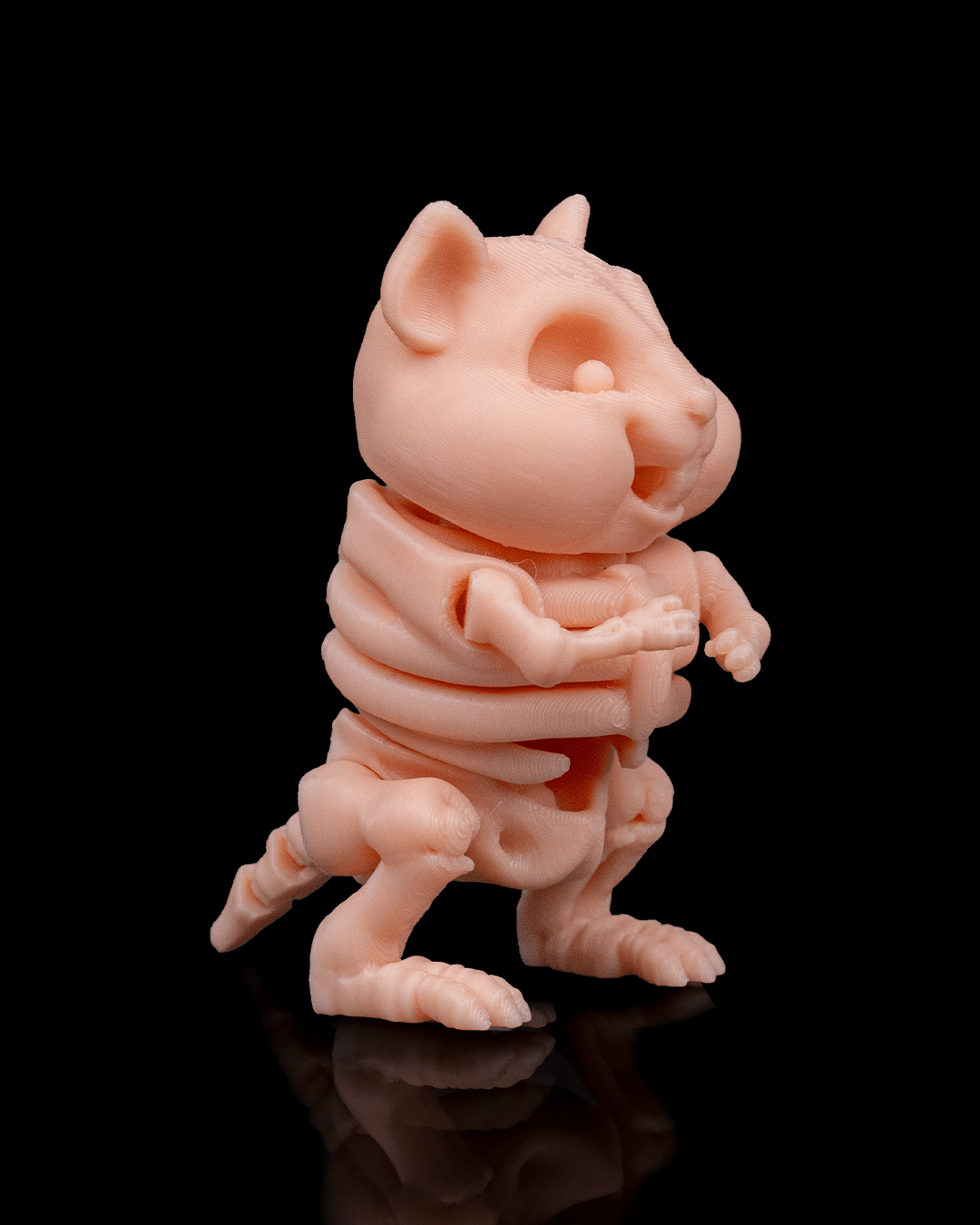 🐹 Bonez Zoo – Skeleton Hamster