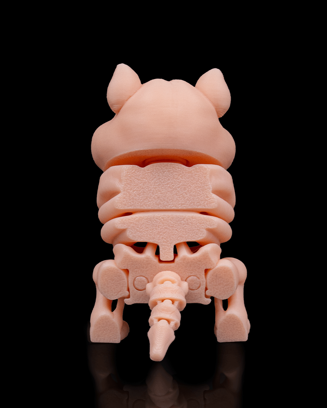 🐹 Bonez Zoo – Skeleton Hamster