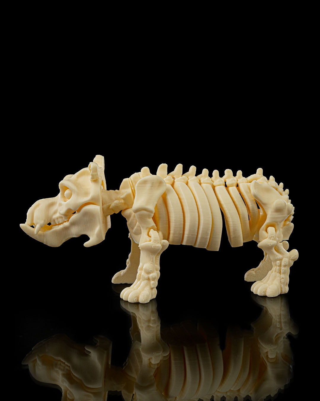 🦛 Bonez Zoo – Skeleton Hippo