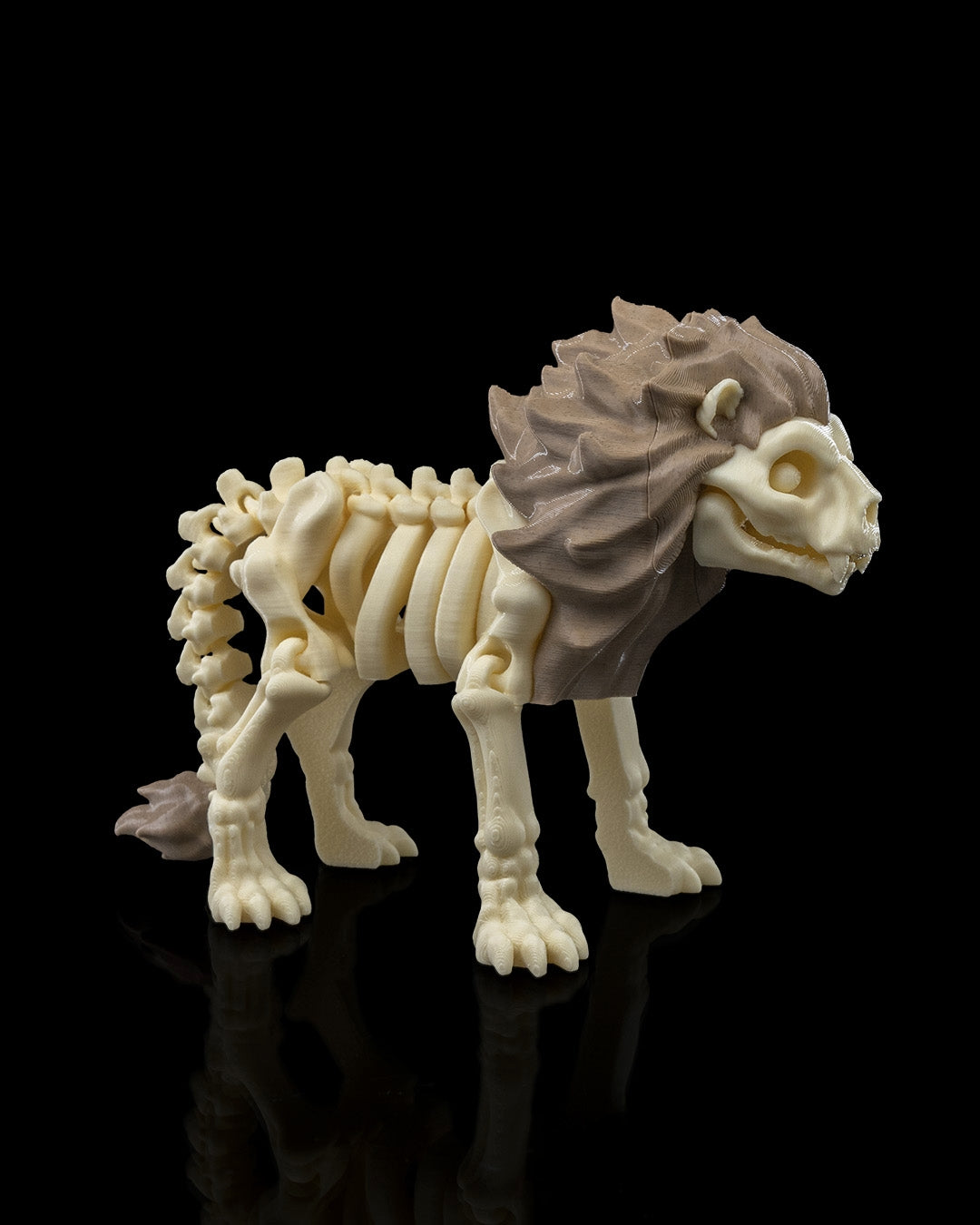 🦁 Bonez Zoo – Skeleton Lion
