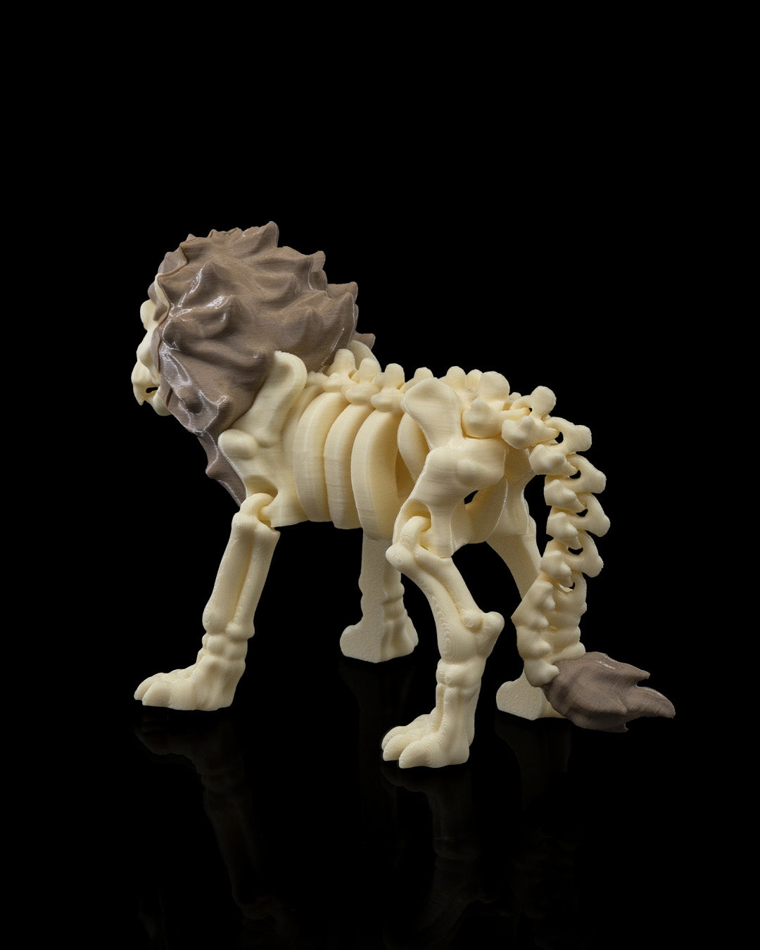 🦁 Bonez Zoo – Skeleton Lion
