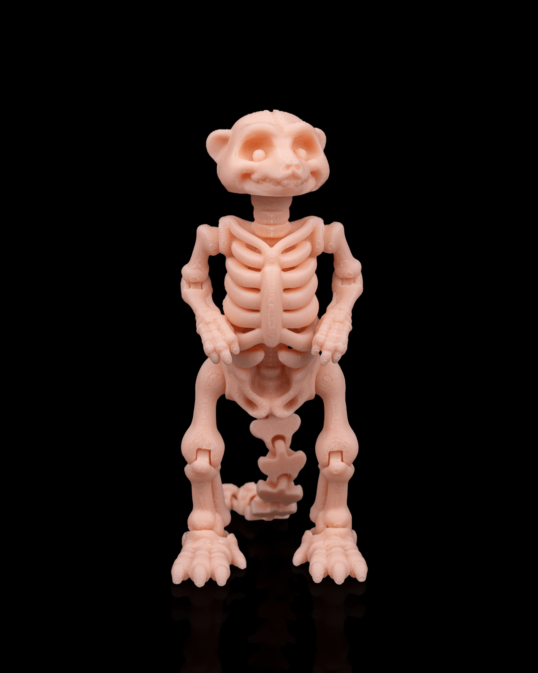 Bonez Zoo Skeleton Meerkat