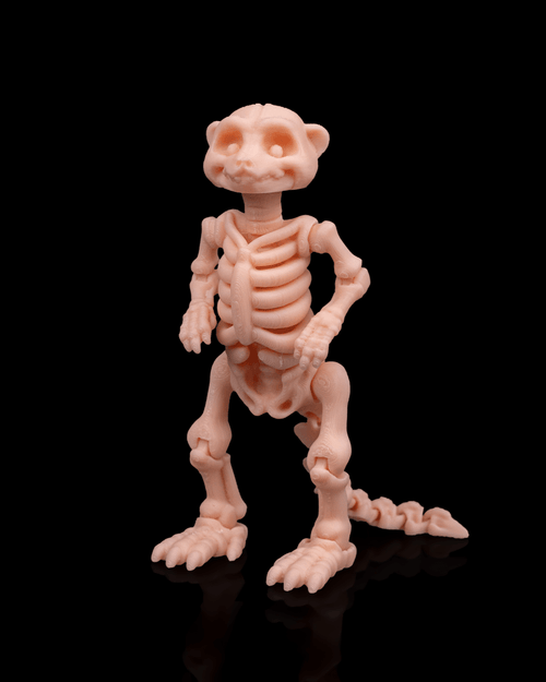 Bonez Zoo Skeleton Meerkat