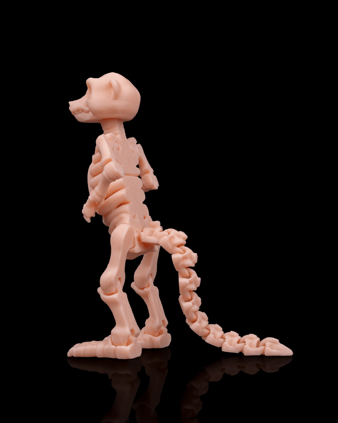 Bonez Zoo Skeleton Meerkat