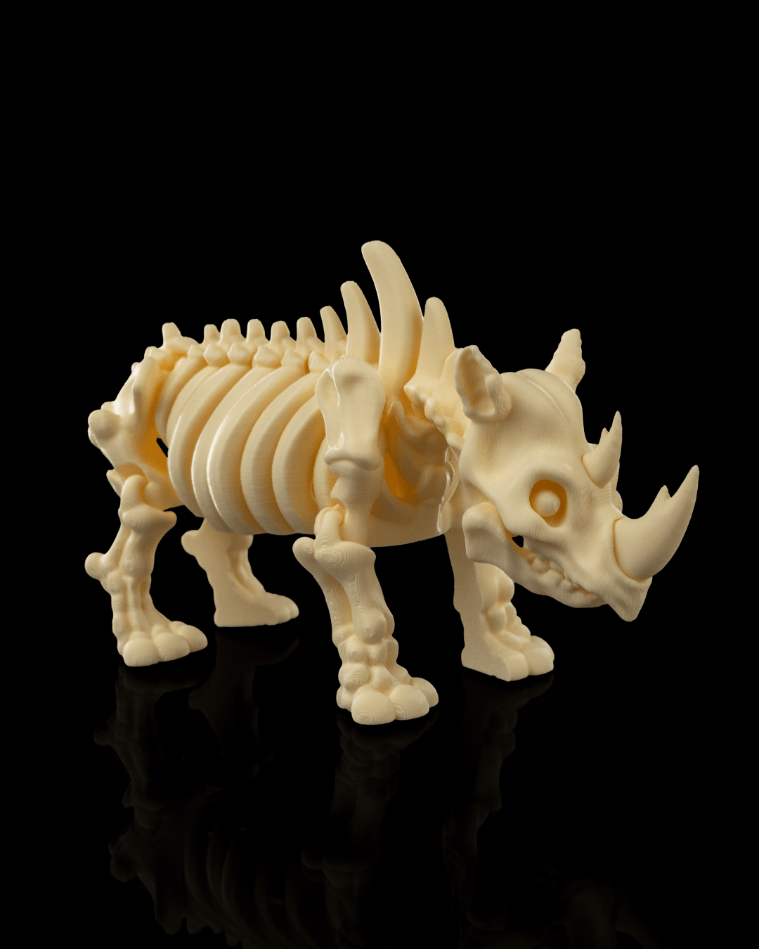 🦏 Bonez Zoo – Skeleton Rhino