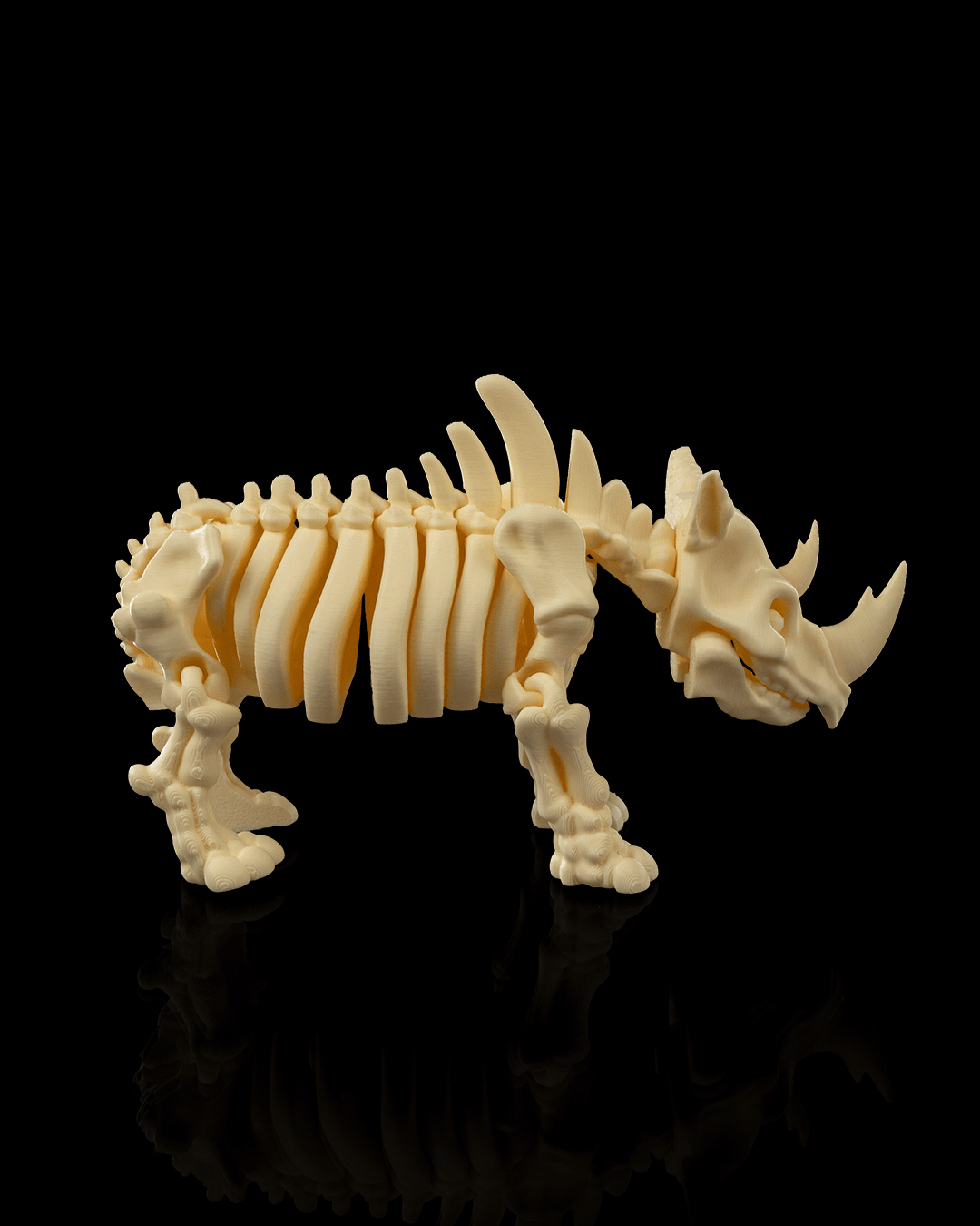 🦏 Bonez Zoo – Skeleton Rhino
