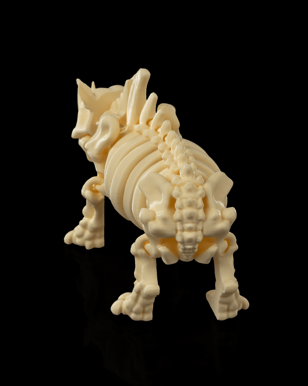 🦏 Bonez Zoo – Skeleton Rhino
