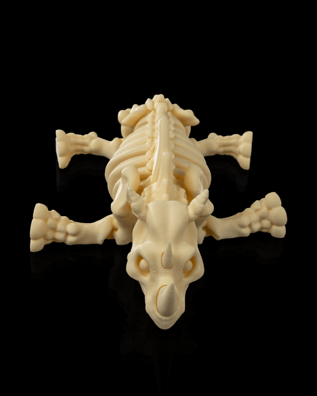 🦏 Bonez Zoo – Skeleton Rhino