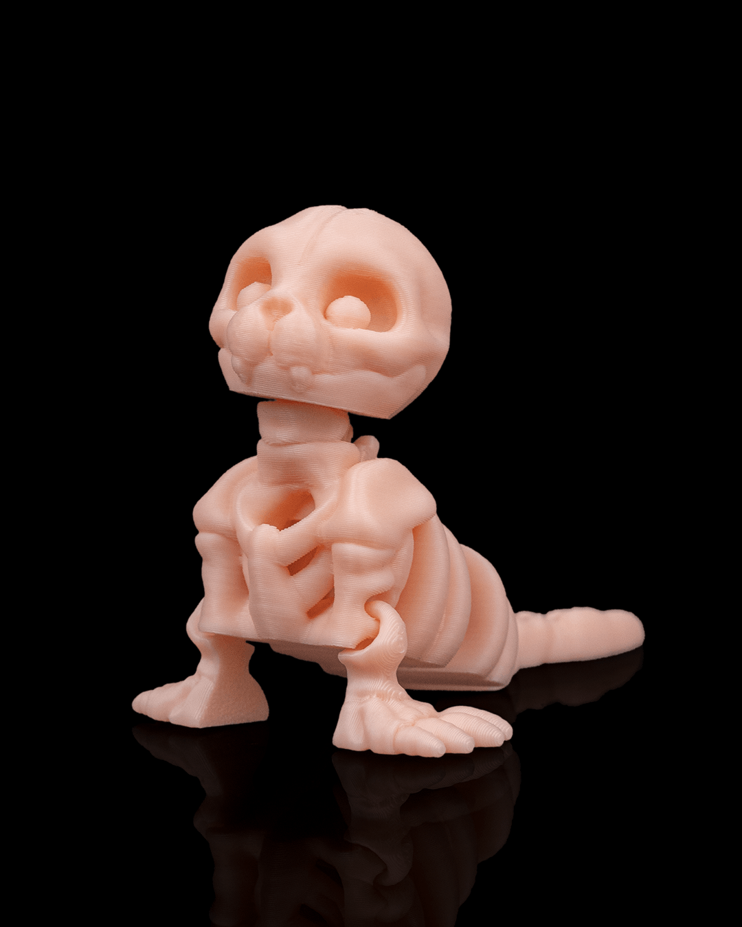 🦭 Bonez Zoo – Skeleton Seal