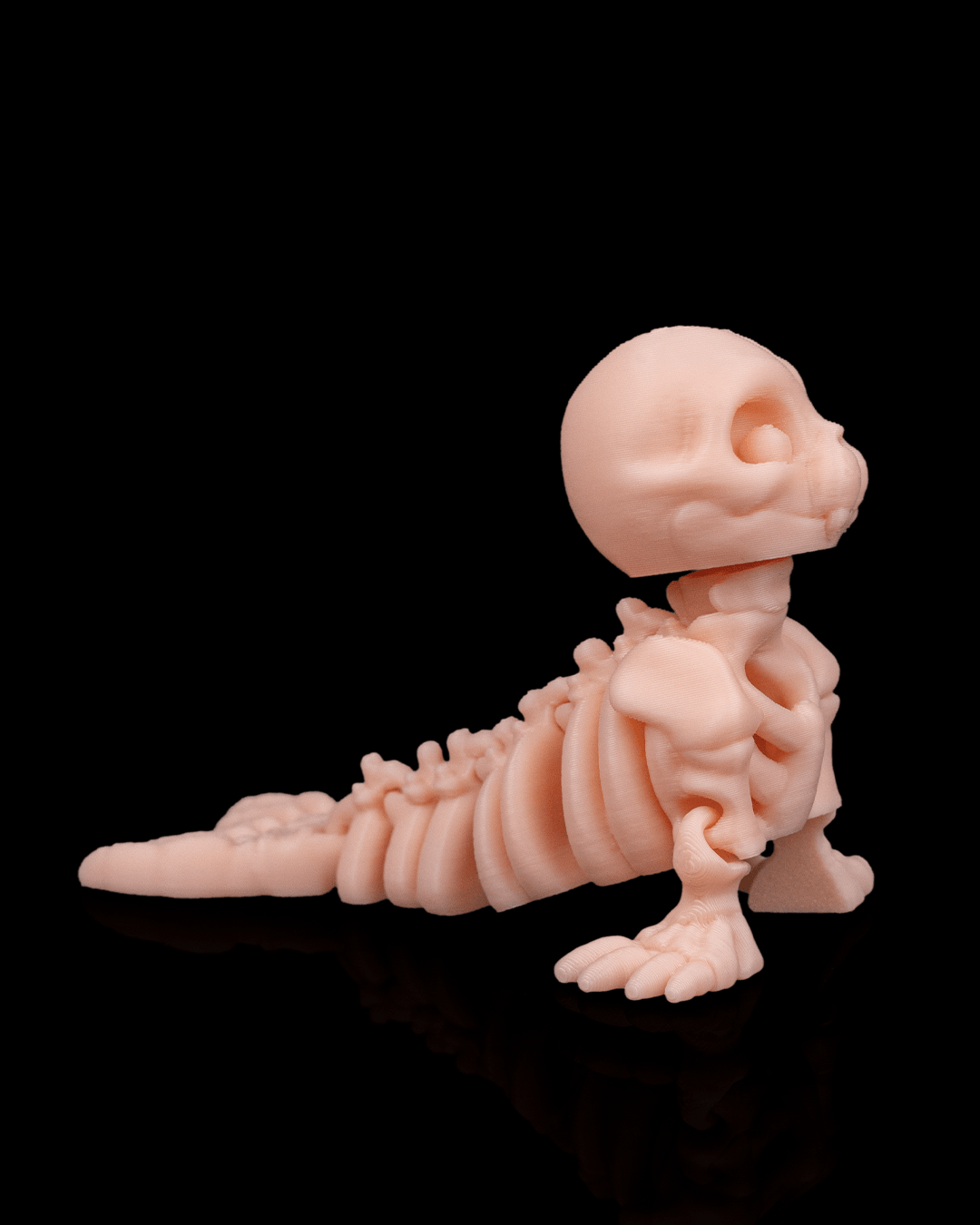 🦭 Bonez Zoo – Skeleton Seal