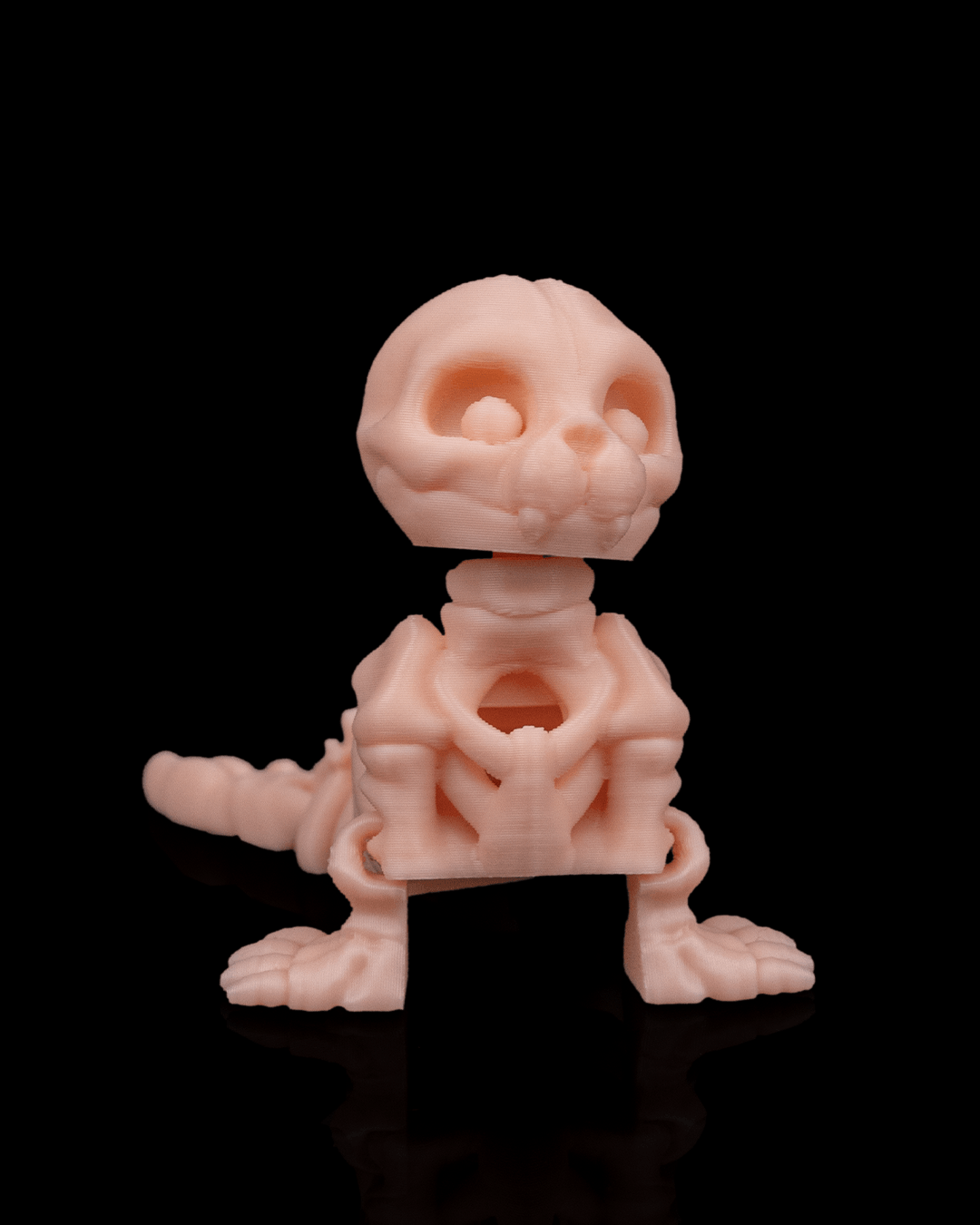 🦭 Bonez Zoo – Skeleton Seal