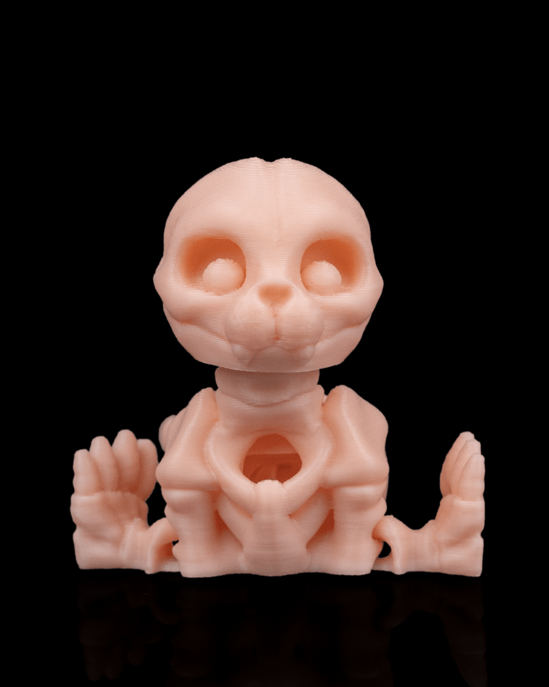 🦭 Bonez Zoo – Skeleton Seal