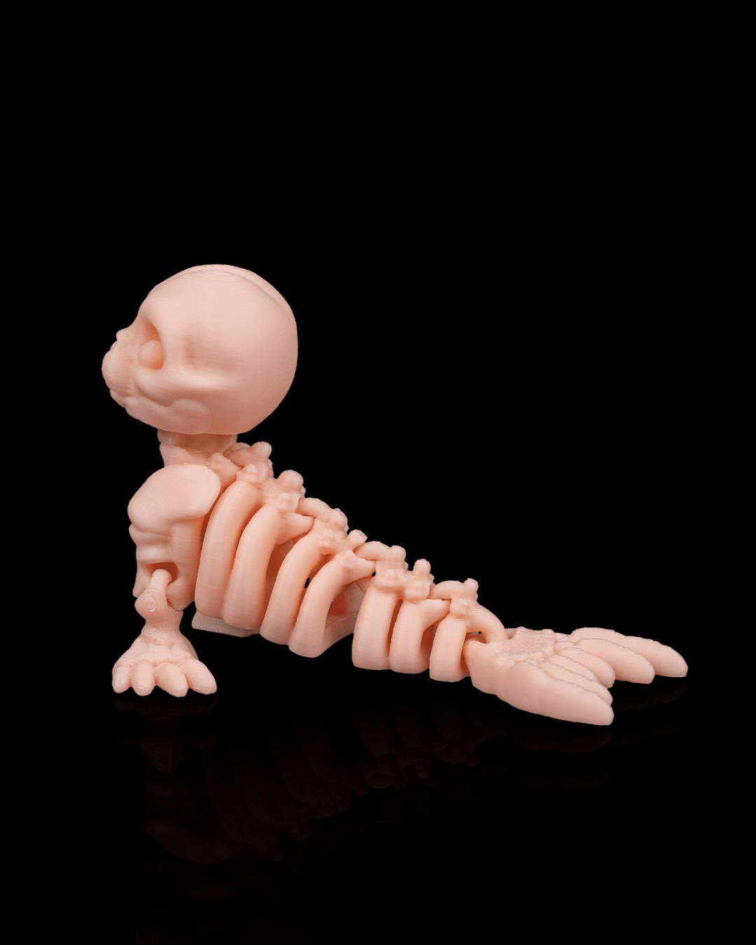 🦭 Bonez Zoo – Skeleton Seal