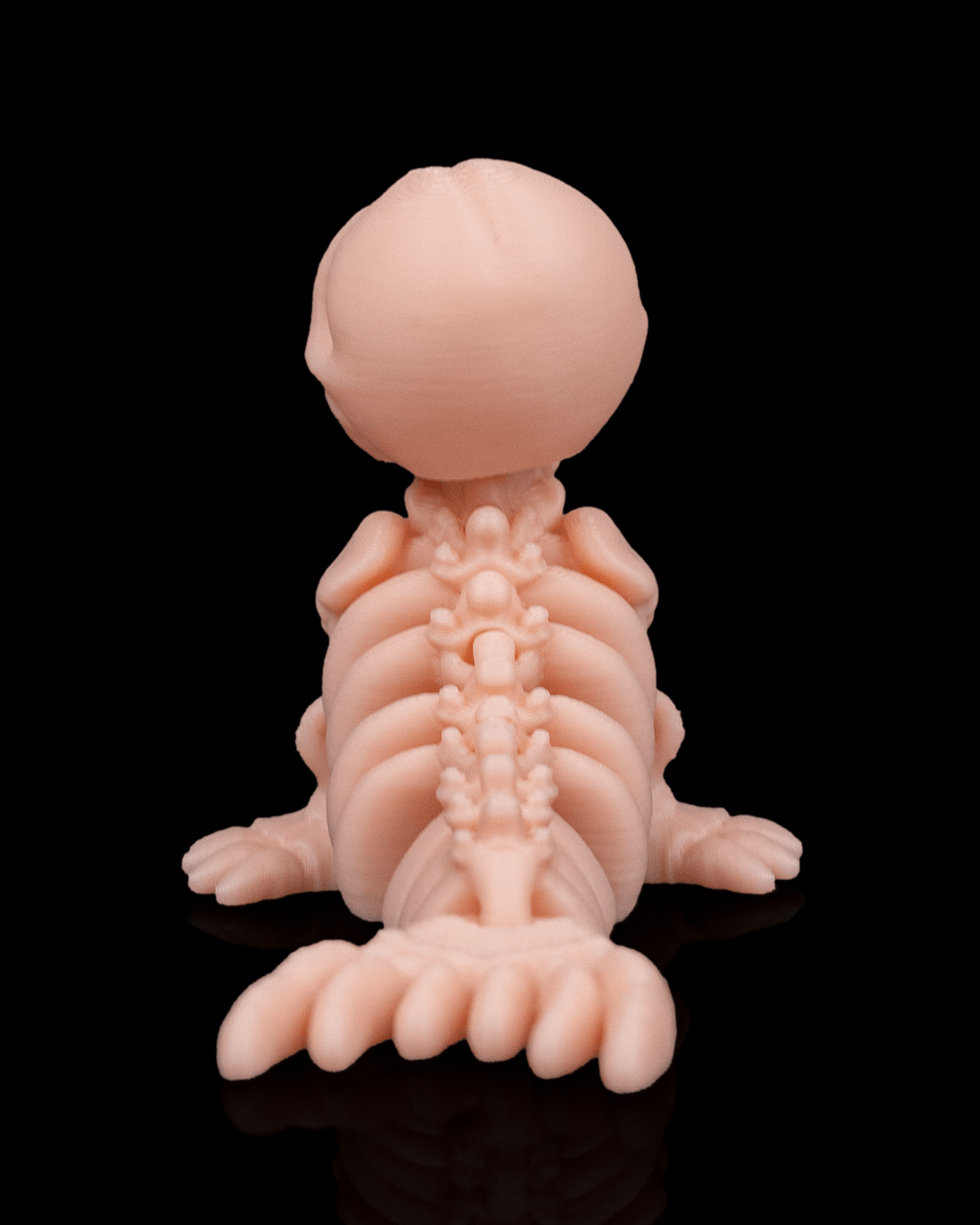 🦭 Bonez Zoo – Skeleton Seal