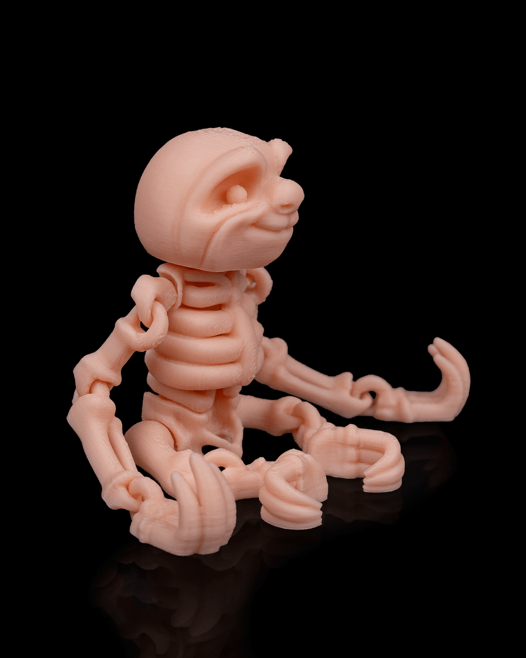 🦥 Bonez Zoo – Skeleton Sloth